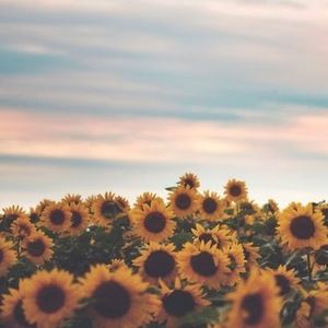 Meet your Posher, Sally